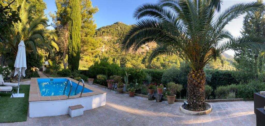 Nueva Cazorla Mirador Cerro Del Escribano Villa La Iruela Bagian luar foto